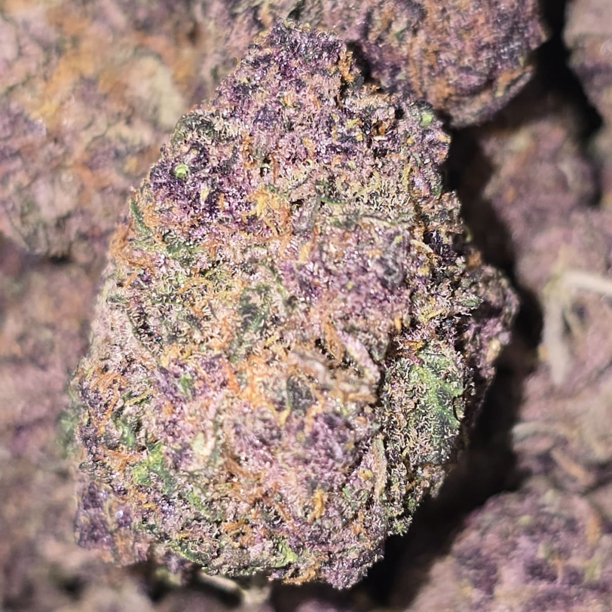 TROPICANA CHERRY - 3.5g