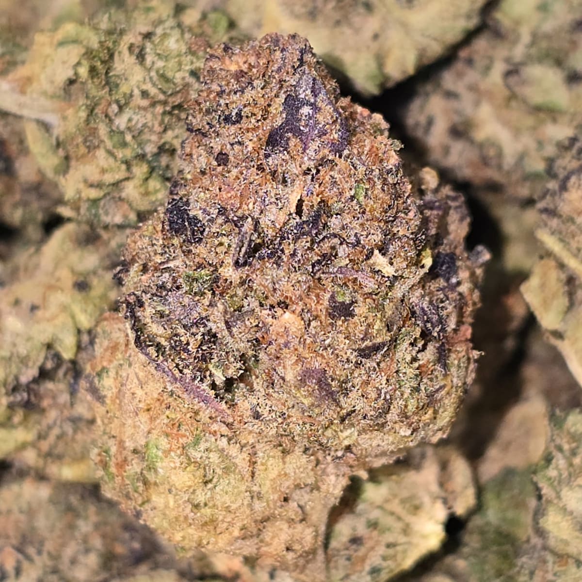 LEMON DIESEL - 1g