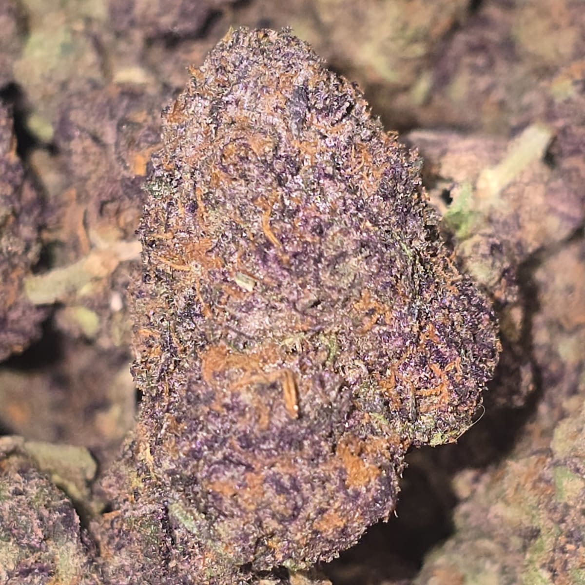 ZKITTLEZ X COFFIN CANDY - 1g