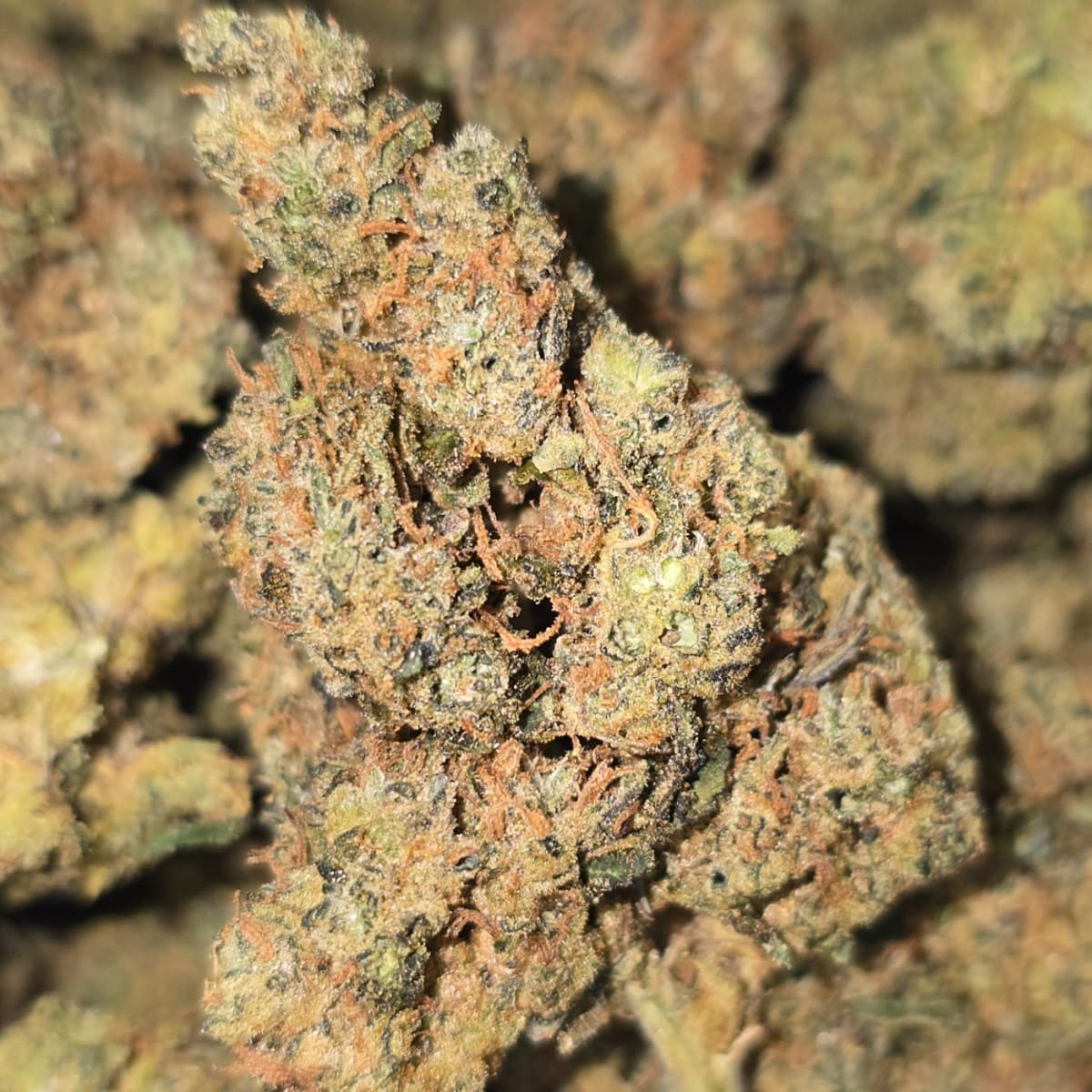 CHEM DE LA CHEM - 7g