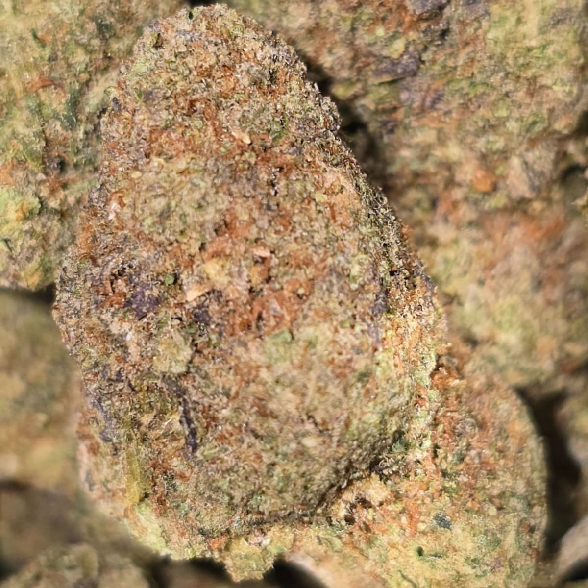 NISHI (TENCO) - 3.5g