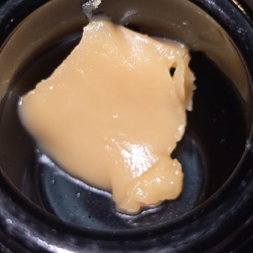 11:11 LIVE ROSIN