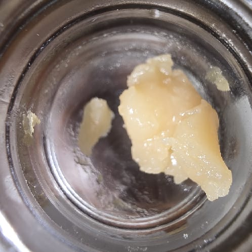 LCG x GMO ROSIN