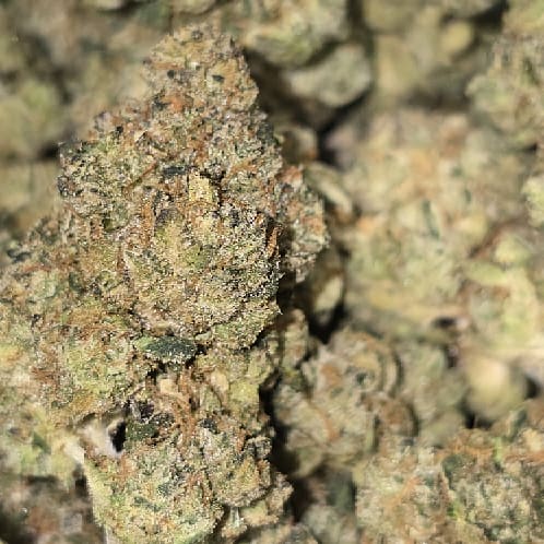 93 Octane 1g cannabis flower Pattaya