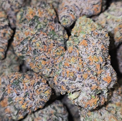 28g (1oz) BLACK RUNTZ