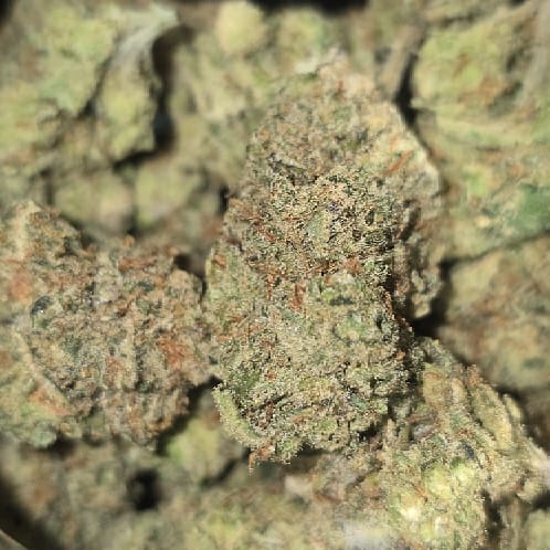 28g (1oz) AMNESIA HAZE