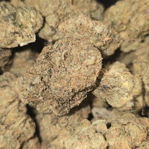 Permanent Marker 1g — cannabis flower in Pattaya