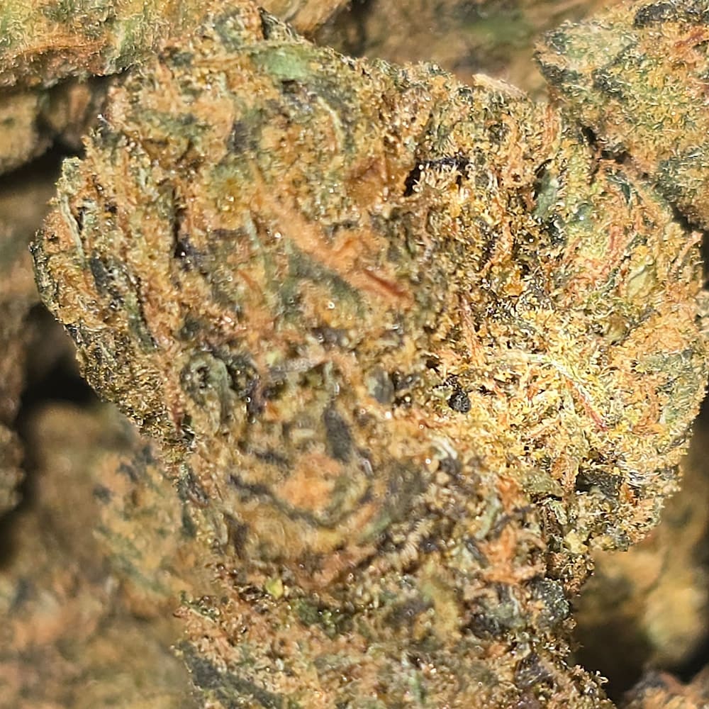 CAP JUNKY