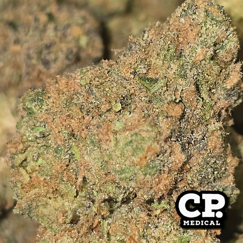 ZKITTLEZ (CP)