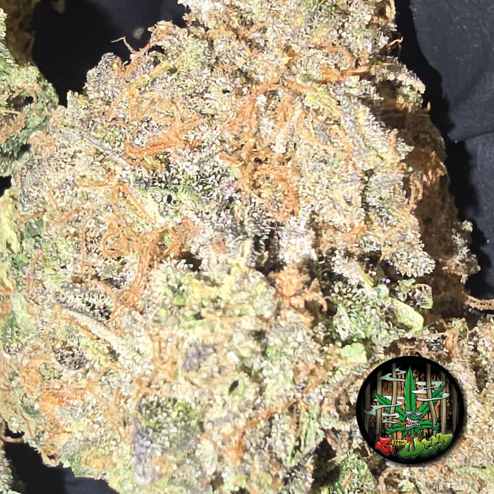 RAINBOW BELTZ (3 THE WEED)