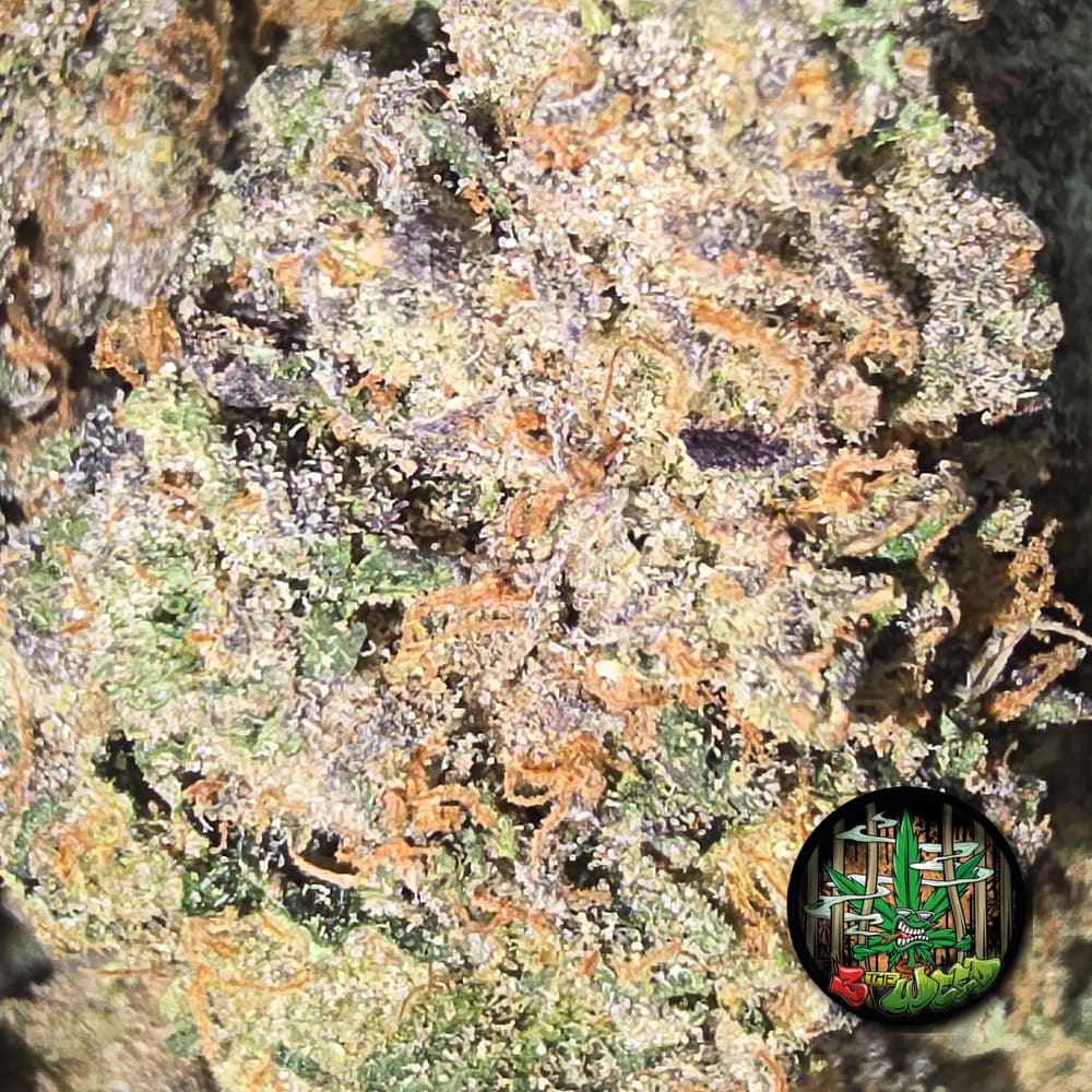 SKYWALKER OG (3 THE WEED)