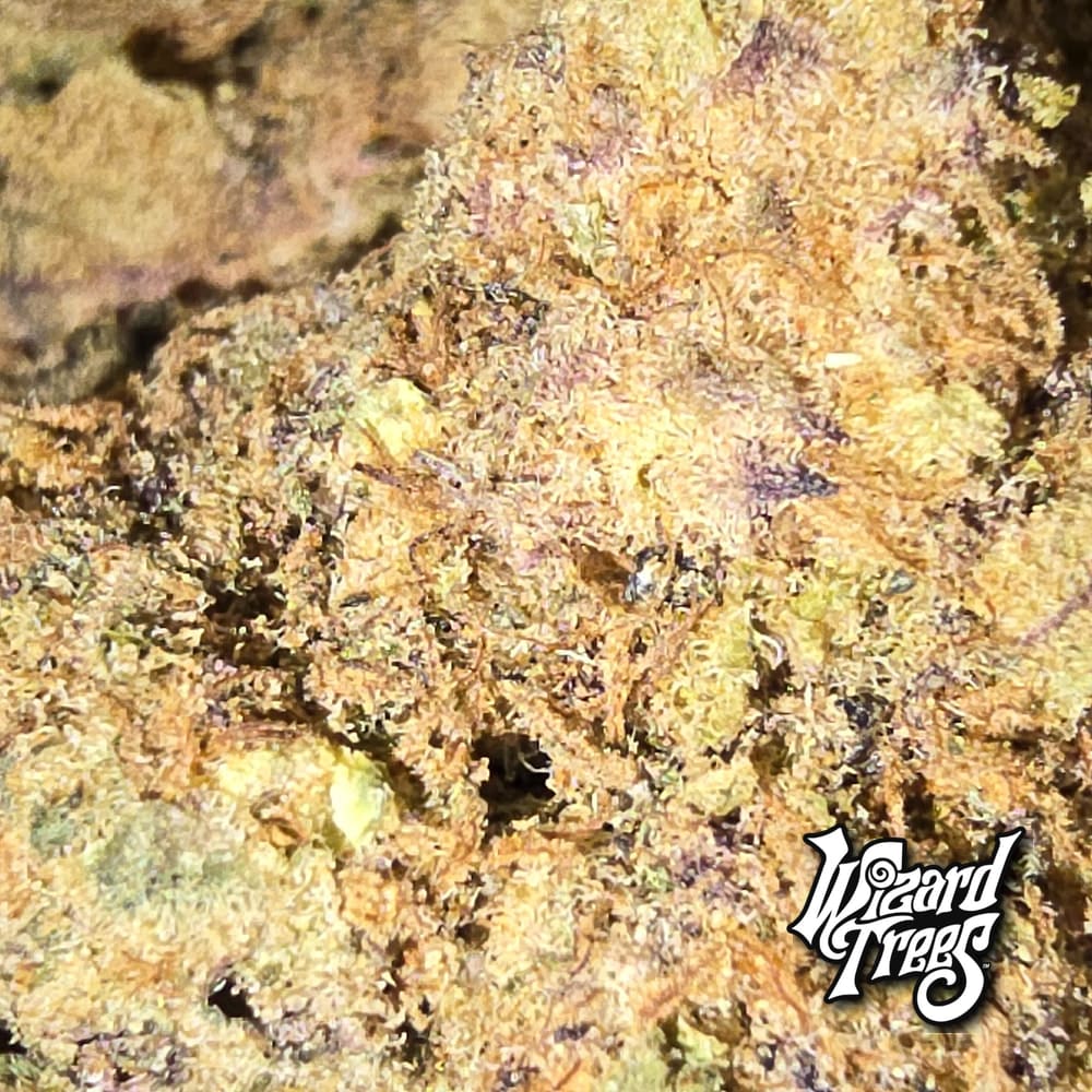 DARK MATTER