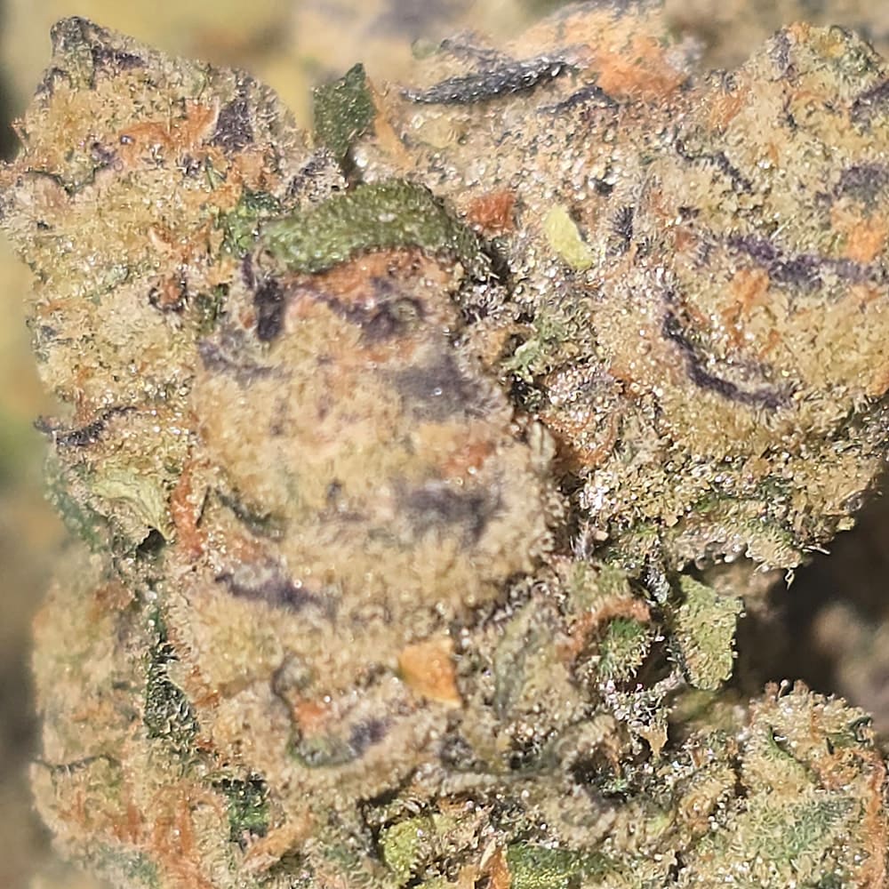 SUPER LEMON HAZE