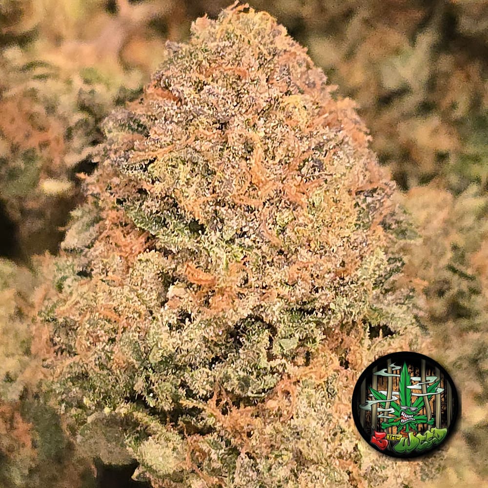 28g (1oz) BELTZ (3 THE WEED)