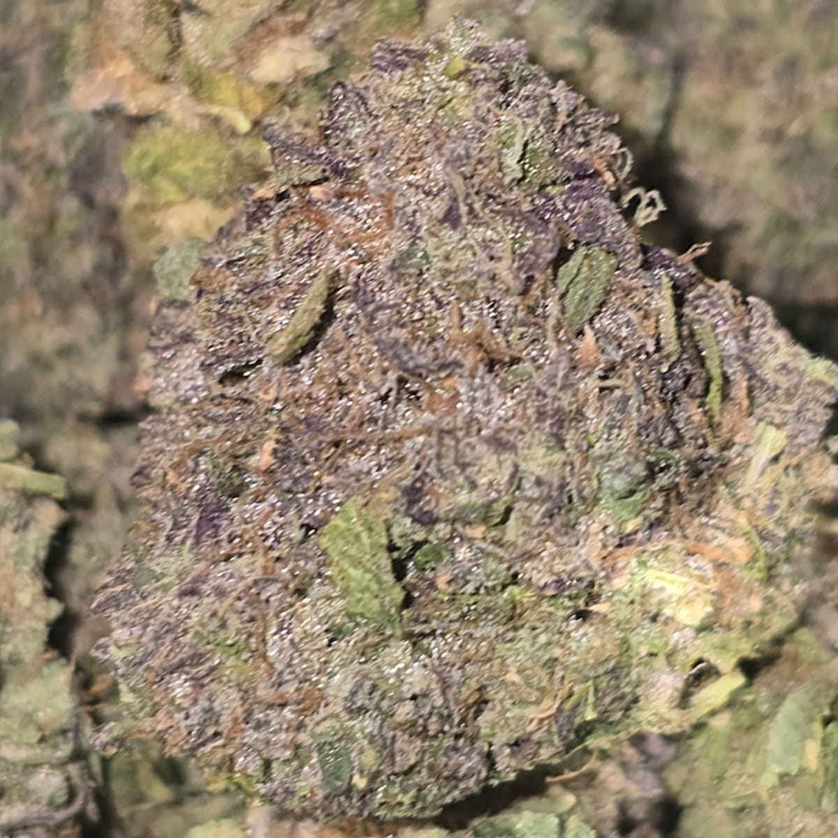 MOONBOW (3 THE WEED)