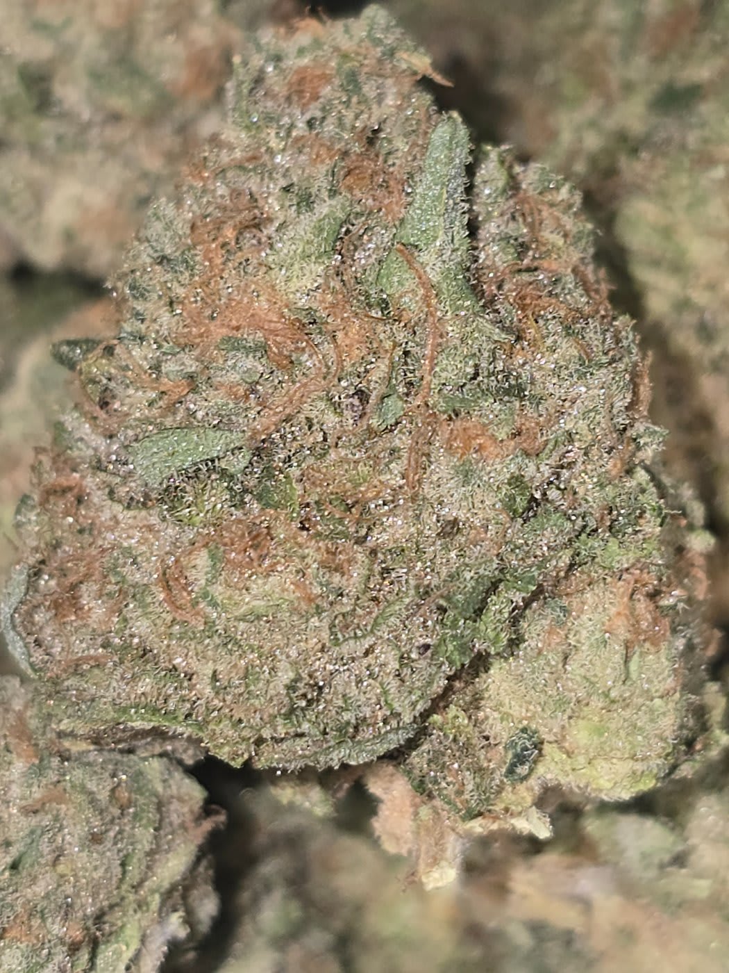 ZOWAHH (3 THE WEED)
