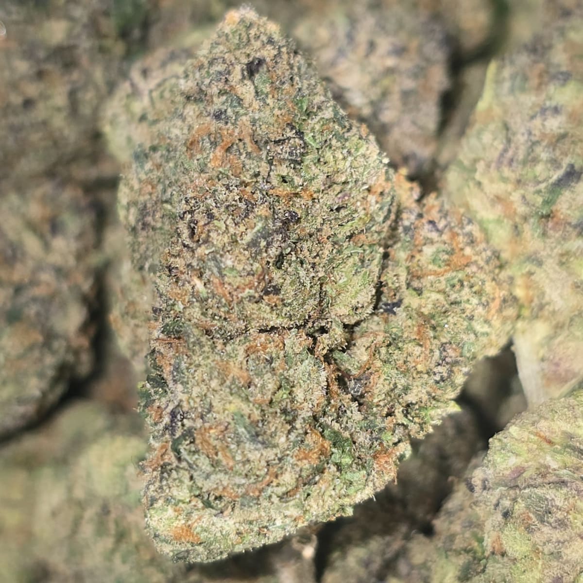 LEMON CHERRY GELATO