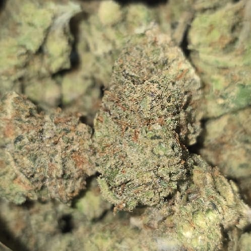 28g (1oz) AMNESIA HAZE