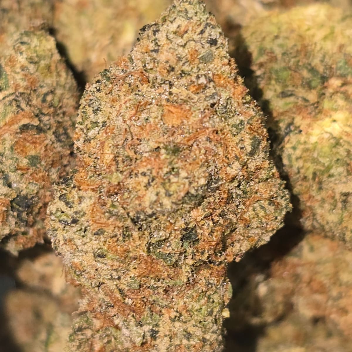 PEACH TREE (DOJA)