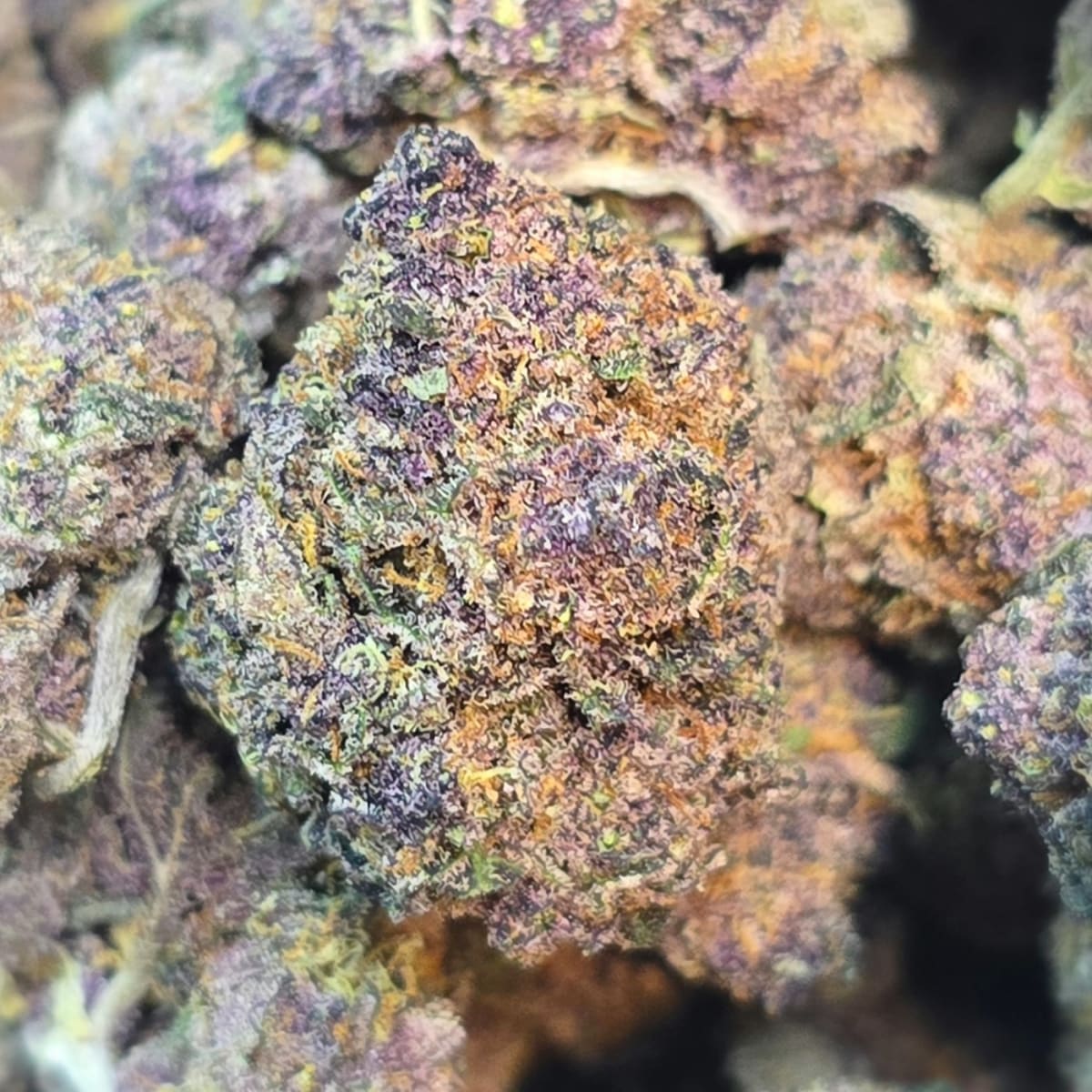 TROPICANA CHERRY