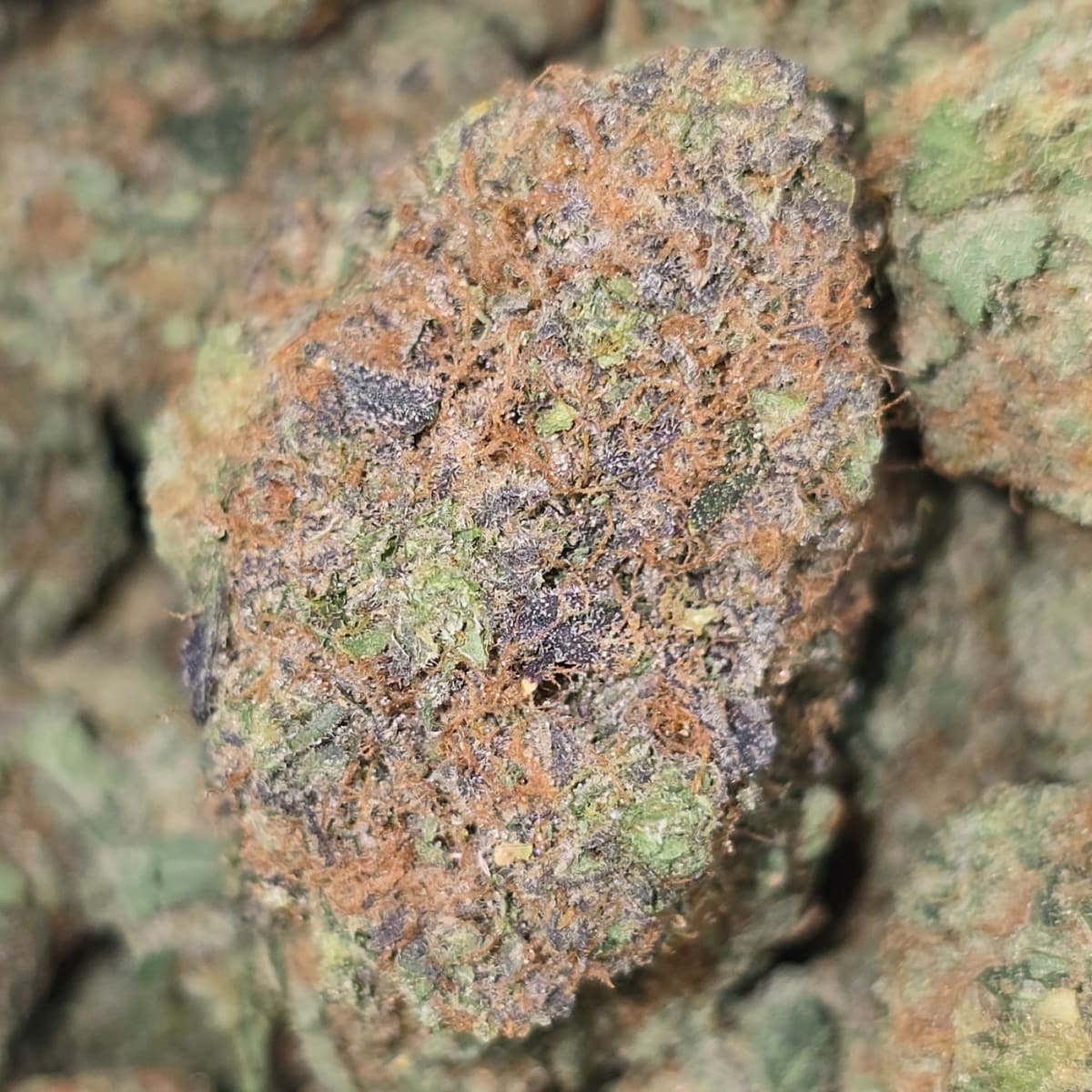 BIG Z (3 THE WEED)