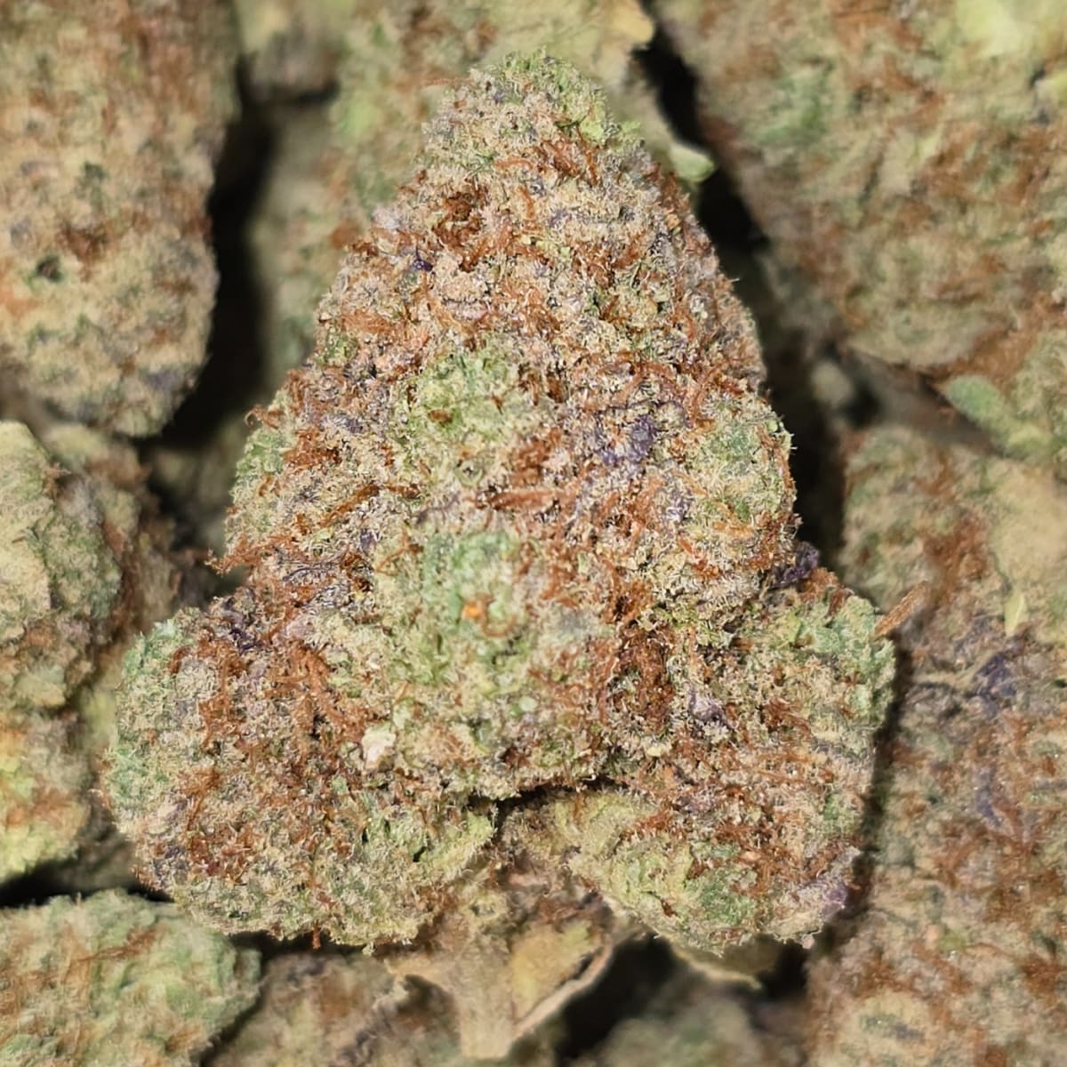 28g (1oz) ORANGE CREAMPOP