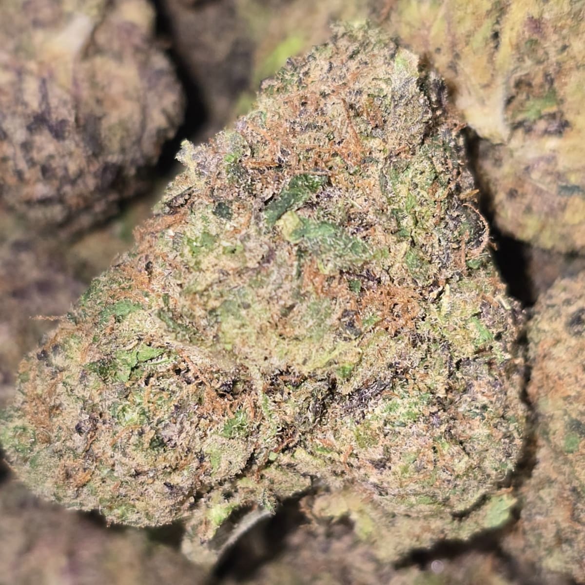 GUAVA CANDY