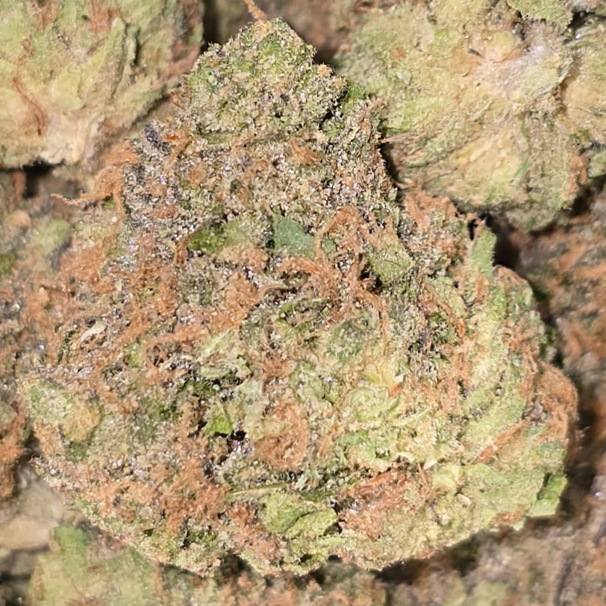 ORIGINAL Z (ZKITTLEZ)