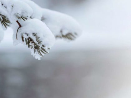 Сильный мокрый снег ожидается в Хакасии и Красноярском крае