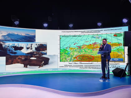 Руководитель «Заповедников Таймыра» выступил на выставке-форуме «Россия»
