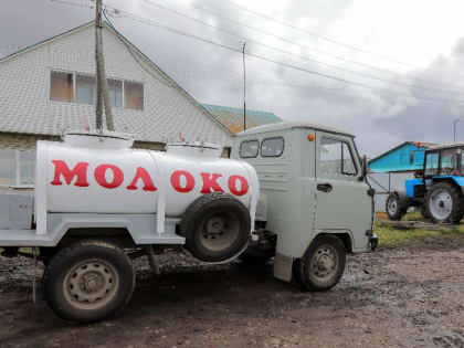 Более 63 млн получат сельхозкооперативы Красноярского края за купленные у владельцев личных подворий мясо и молоко