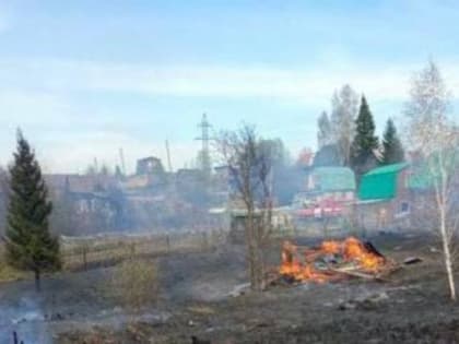 В Томской области потушили 51 лесной пожар с начала года