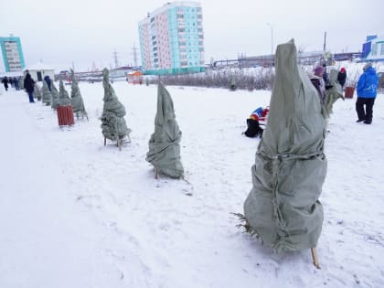 Дудинцев призывают бережно относиться к городской среде