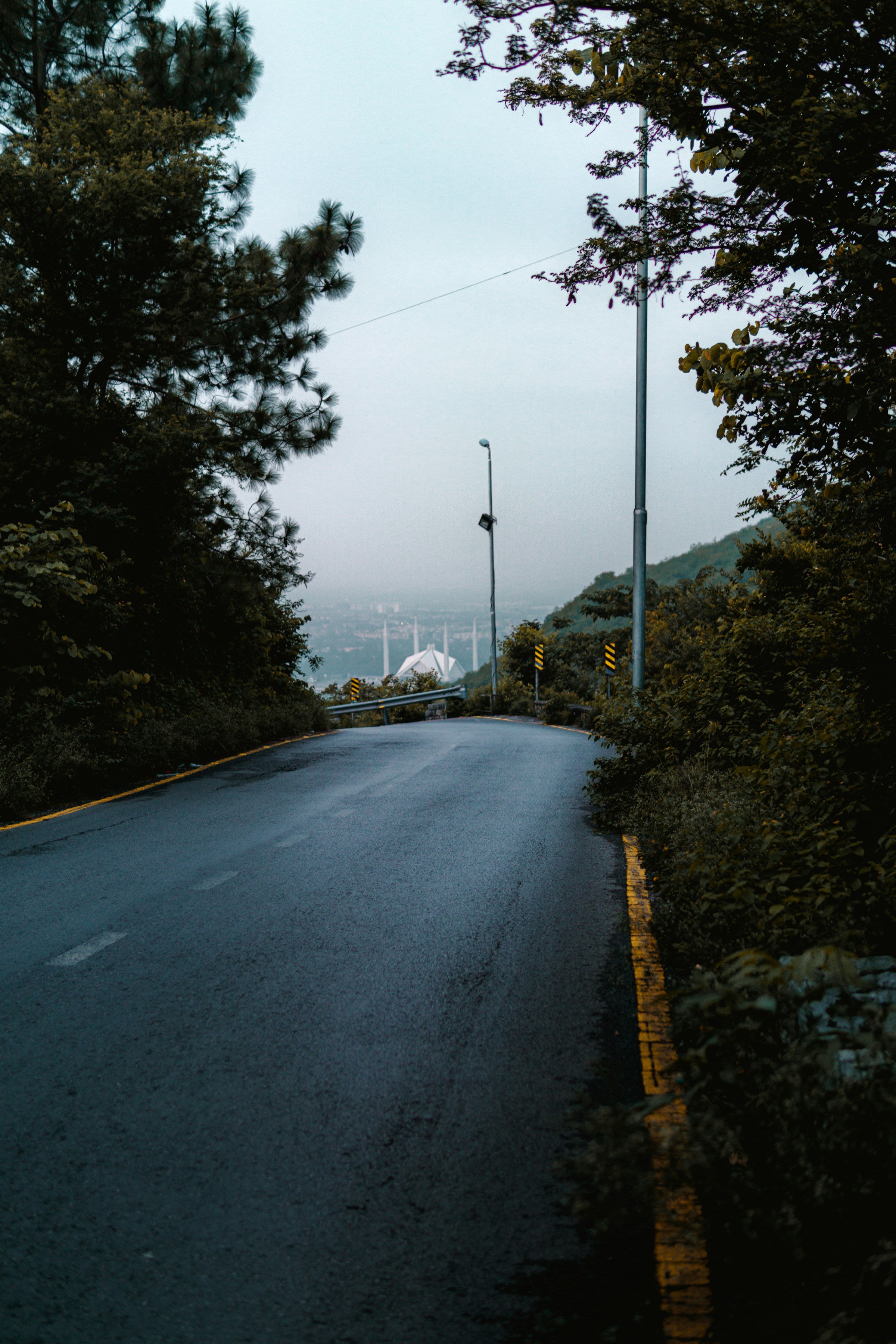 Tree-lined road in Islamabad near the Margalla Hills
