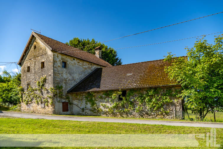 Rif.1650 - Rustico con vasto terreno a Tremea di Borgo Valbelluna