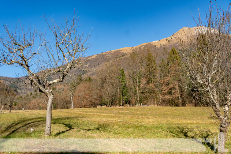 Rif. 1771 - Ampio terreno edificabile a Cusighe