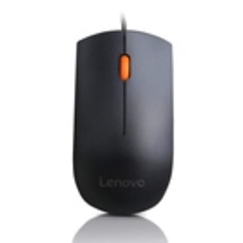 Lenovo 300 Wired USB Mouse - Black - GX30M39704