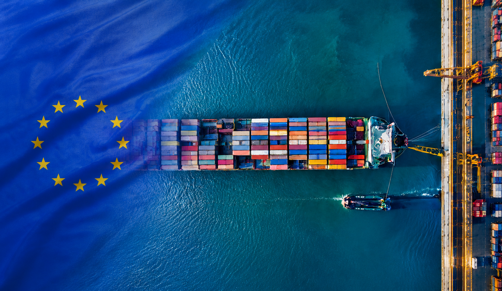 Gia vị Viettage tại thị trường EU