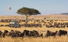 Maasai Mara