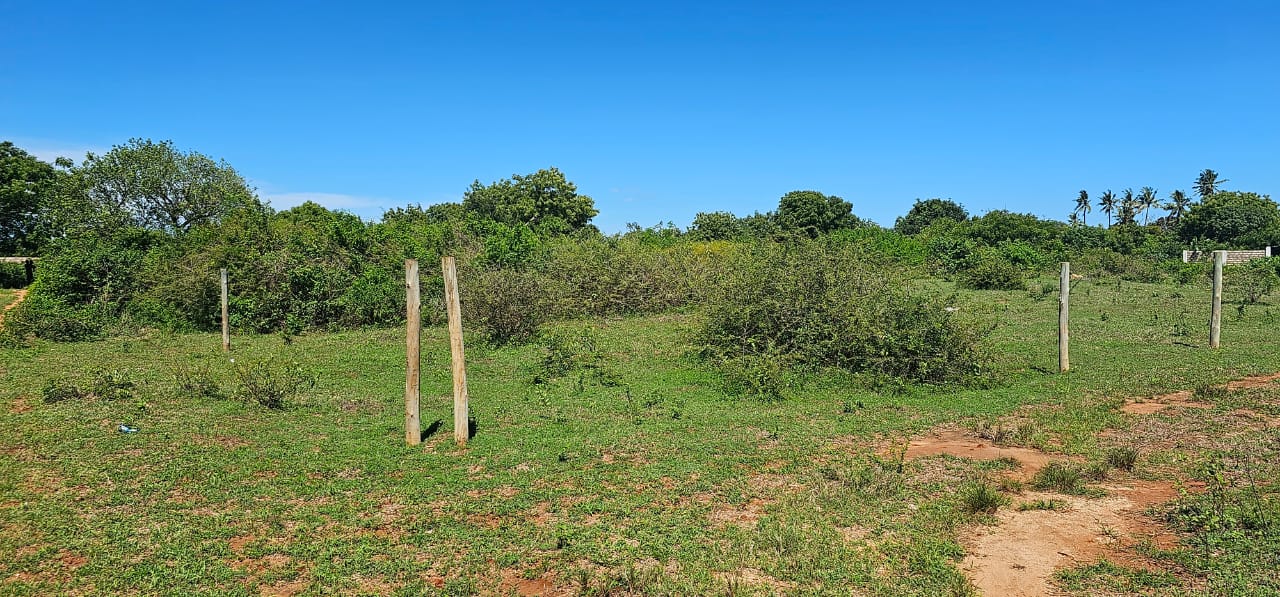 Property Gallery - Image 9