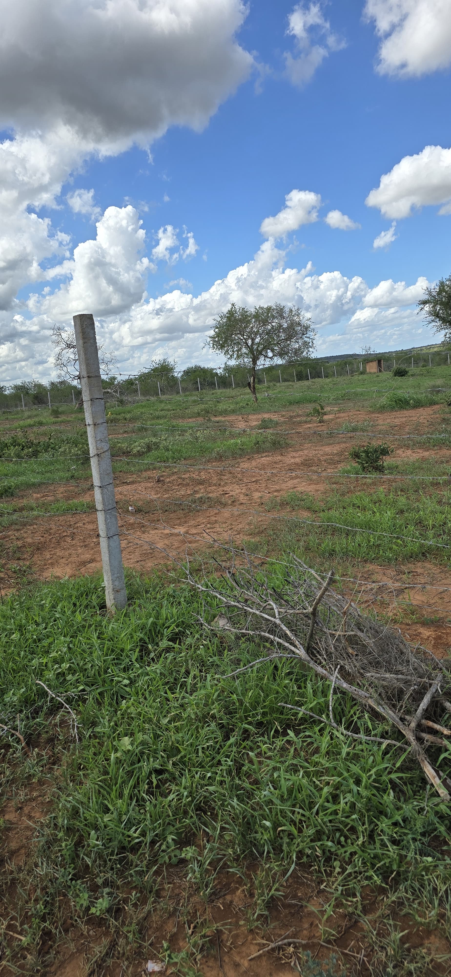 Property Gallery - Image 4