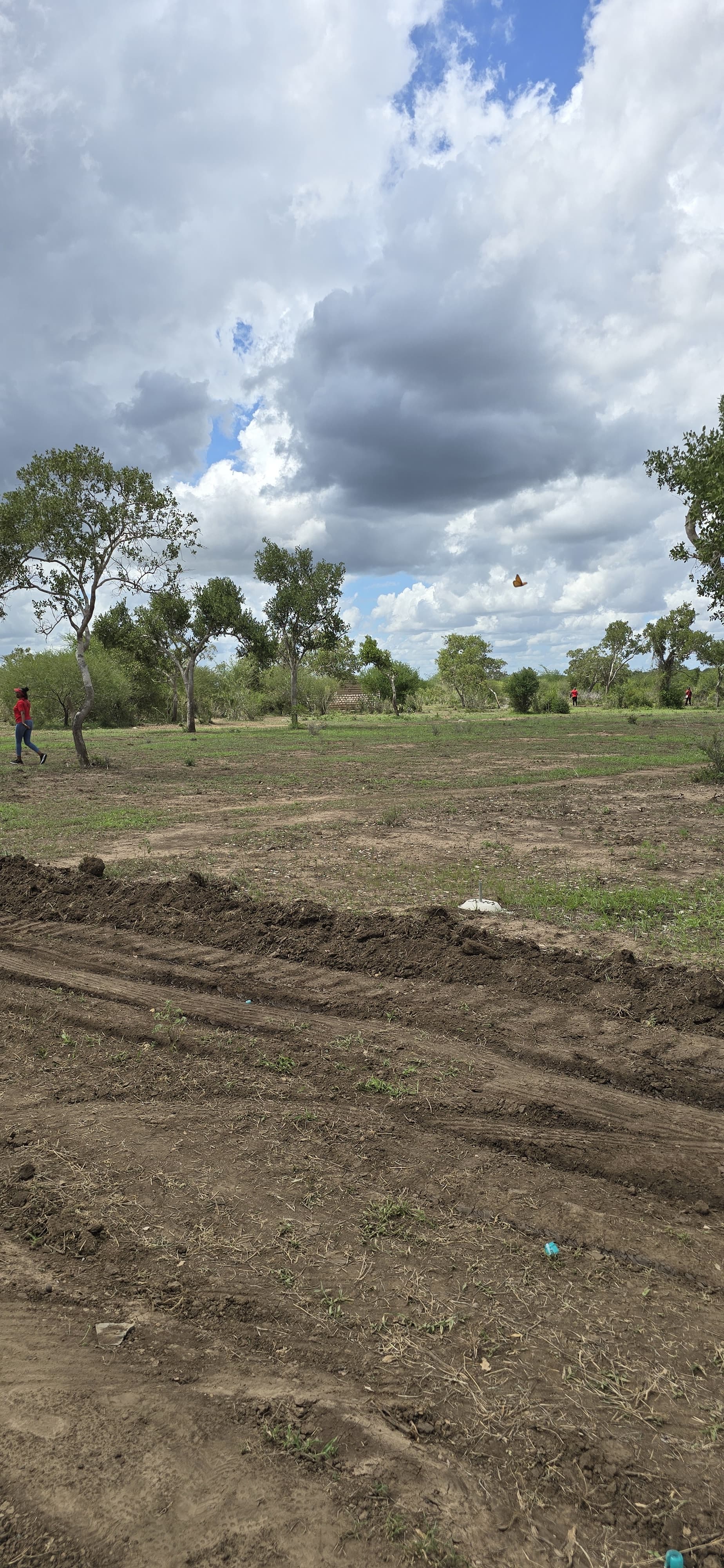 Property Gallery - Image 5