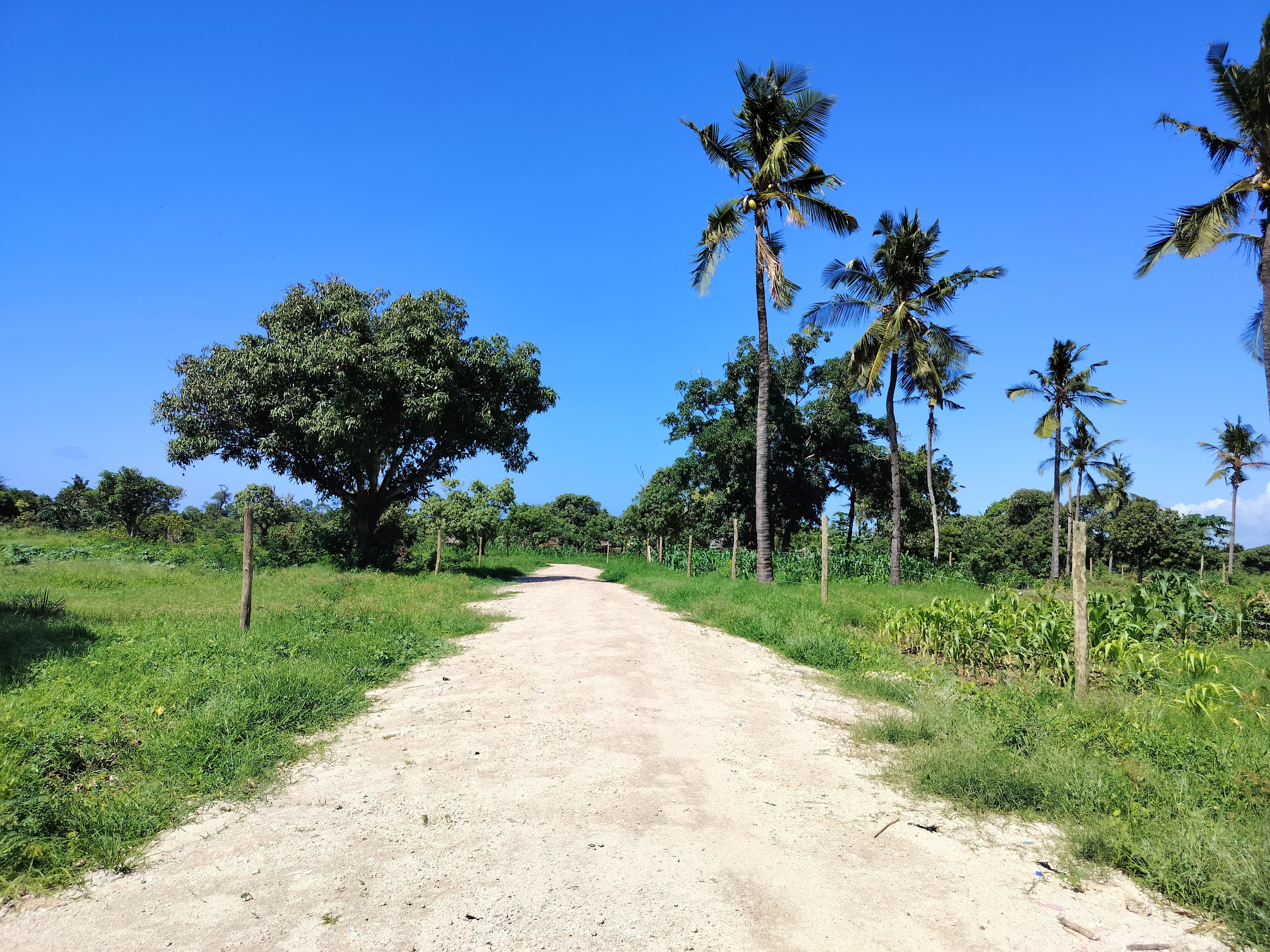 Property Gallery - Image 6