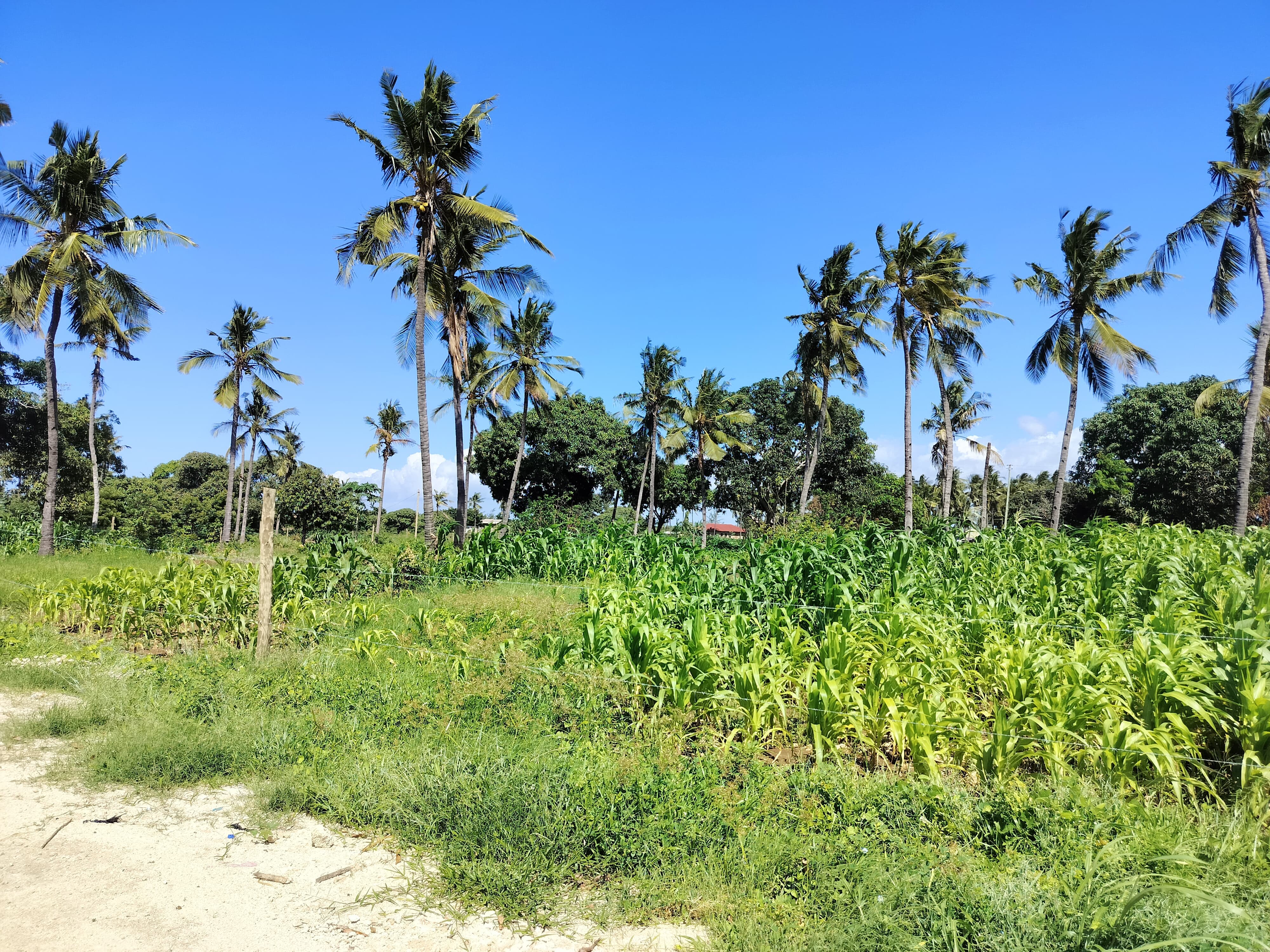 Premium land investments in Kenya - Beautiful coastal landscape with modern development potential