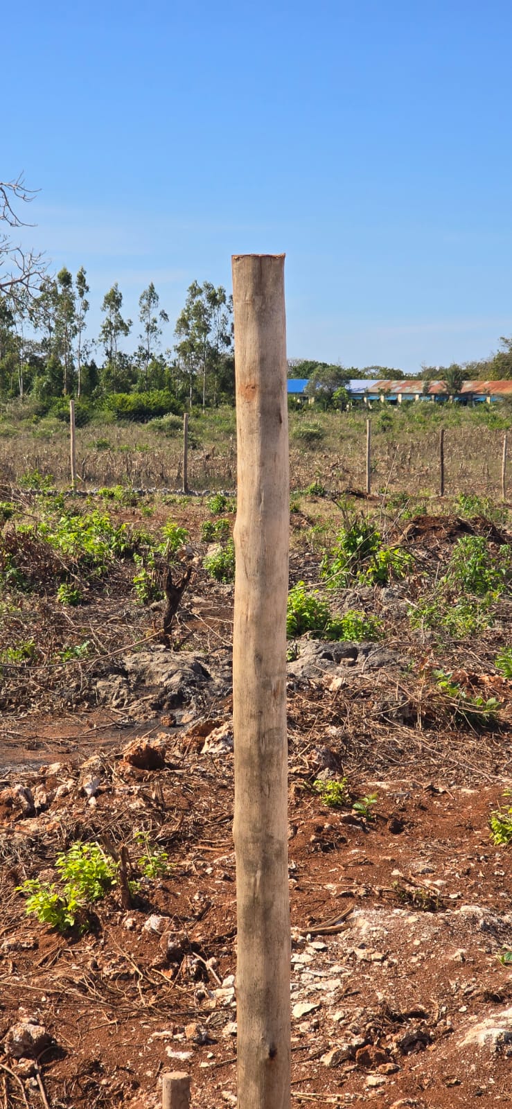 Bofa Phase 20 - Premium Land Investment in Kilifi