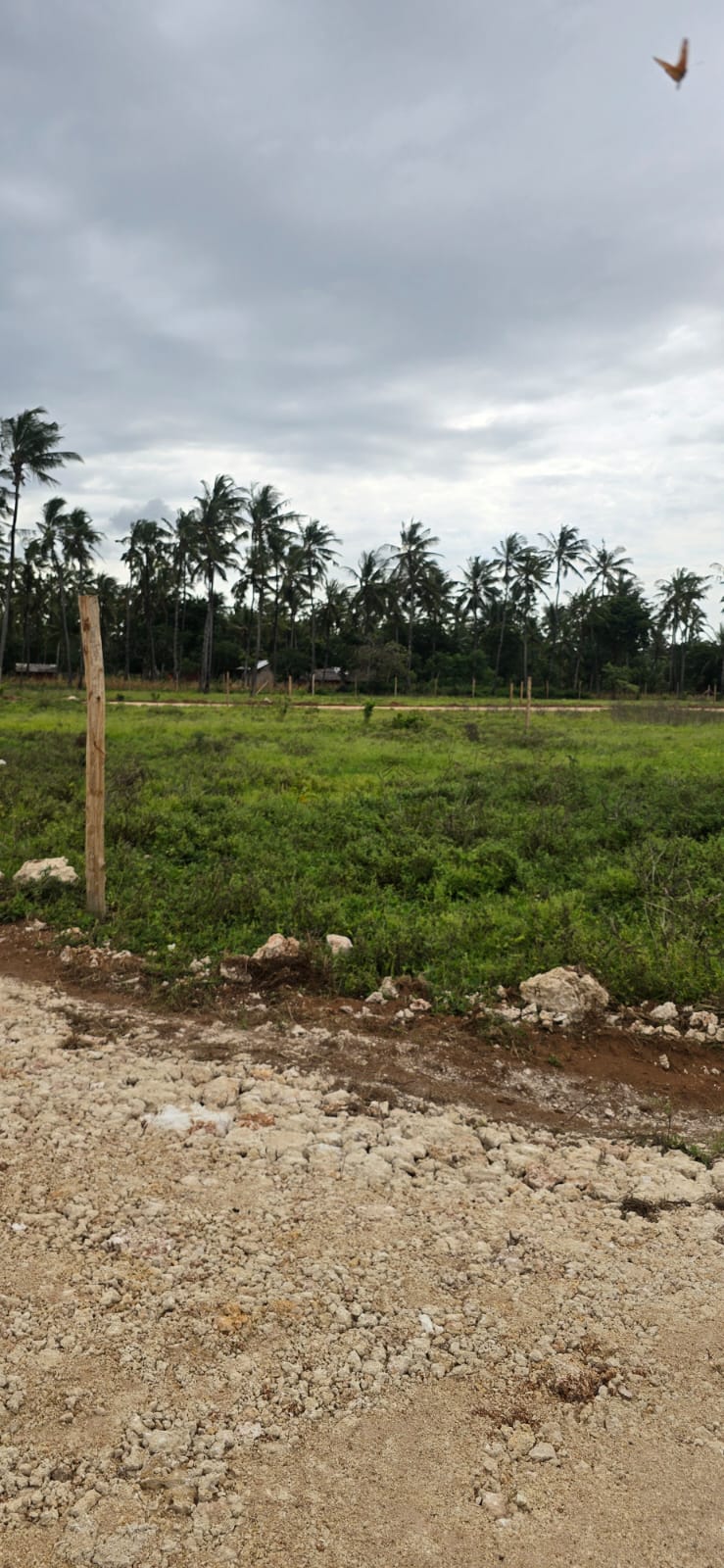 Ultimate Guide to Buying Land in Kenya