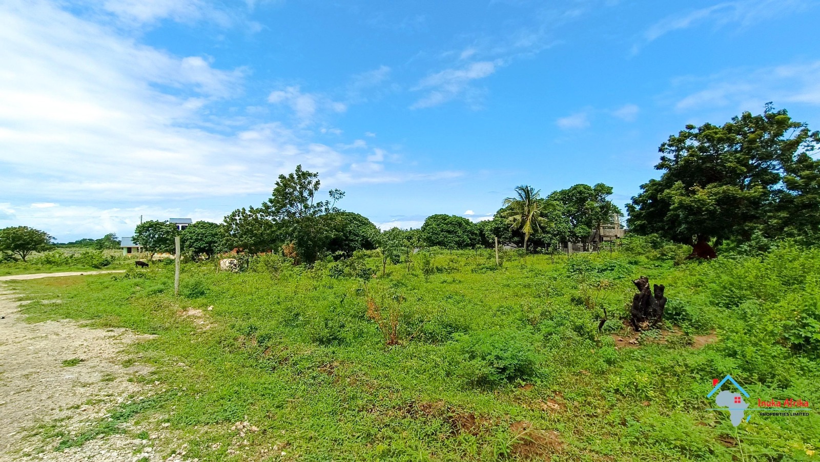 Land for sale Msabaha Phase 6 Kilifi County - 50x100 plots with genuine title deeds