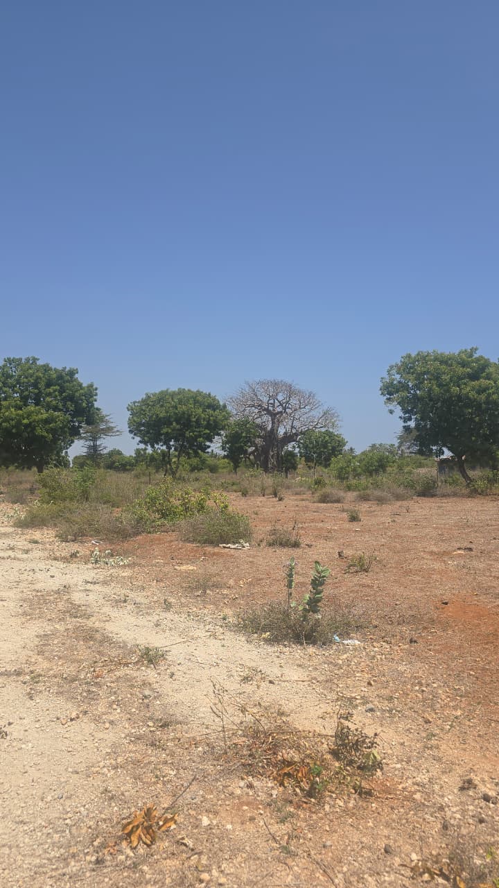 1/2 Acre Plot for Sale - Kilifi Bofa (B69 Road)