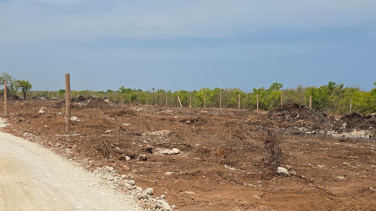 Rafiki@10 plots for sale in Kilifi Tezo - 50x100 affordable land with freehold title