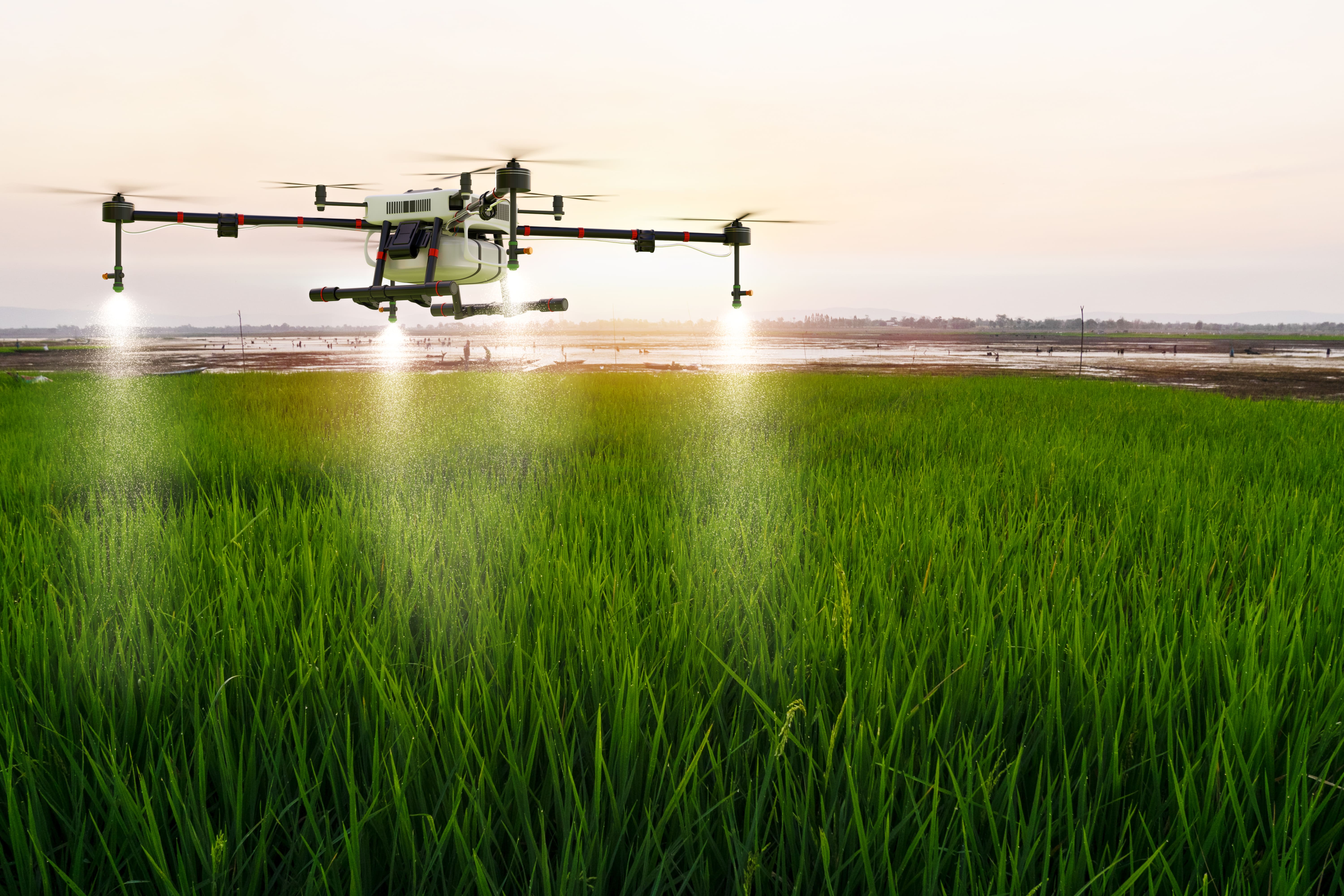 agriculture